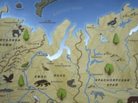 Декоративная карта России из дерева на стену «Родина моя» 2500×1492 мм — фото 4