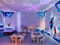 Декоративные настенные панели «Арктика и Антарктика» — фото 17