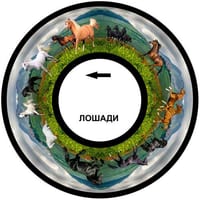Диск с изображением для проектора меркурий — фото 5