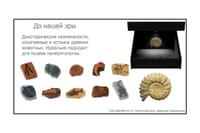 Голографический 3D контент «AVKompleks» — фото 2