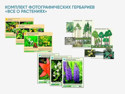 Комплект фотографических гербариев «Все о растениях»