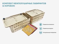Комплект межполушарных Лабиринтов (6 коробок) — фото 2
