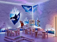 Комплект оборудования соляная комната для галотерапии — фото 5