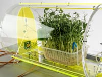 Образовательный комплект для детский исследований «Умная теплица» — фото 3
