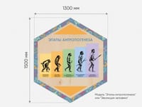 «Стендум - Биология» - набор информационно-методических панелей (10 шт.) — фото 10