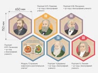 «Стендум - Биология» - набор информационно-методических панелей (18 шт.) — фото 10
